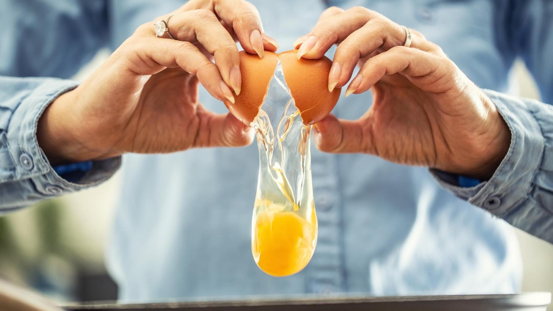 È nato prima l’uovo o la gallina? La risposta in uno studio dell