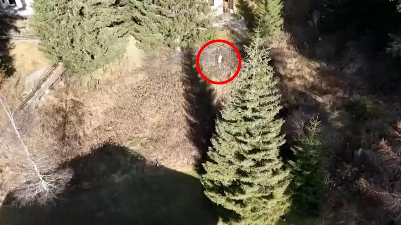 Inseguito con un drone e sequestrato: le immagini del giovane in fuga nei boschi di Champoluc