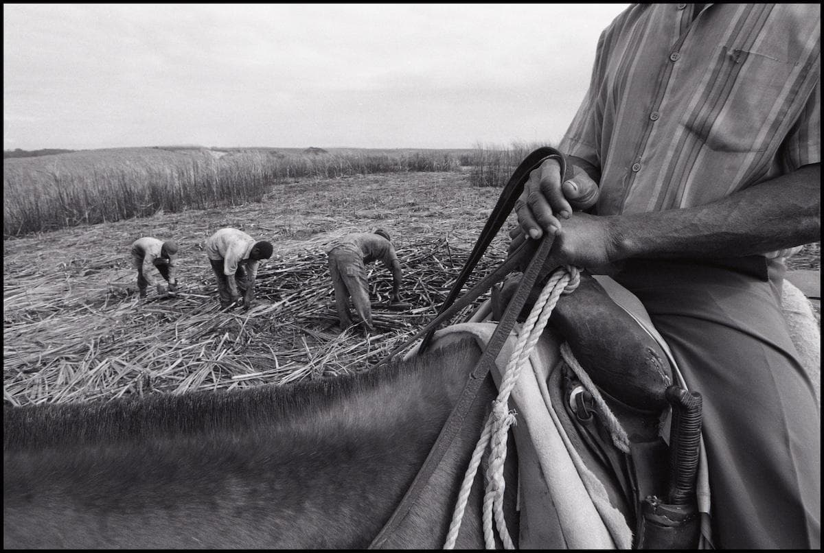 Ivo Saglietti, Haiti, 1993  @ courtesy Archivio Saglietti