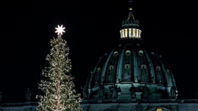 “Non tagliate gli abeti secolari”, l’appello che mette a rischio l’albero di Natale del Papa