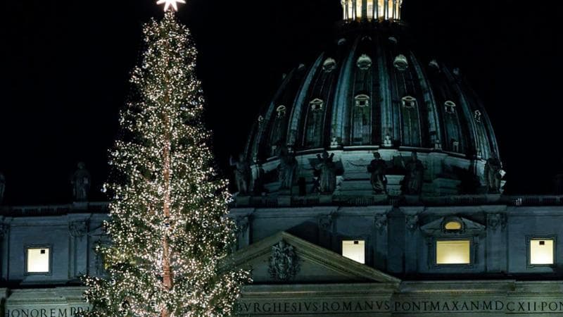 Trentino, 50mila no al taglio dell’abete secolare destinato a diventare l’albero di Natale del Papa