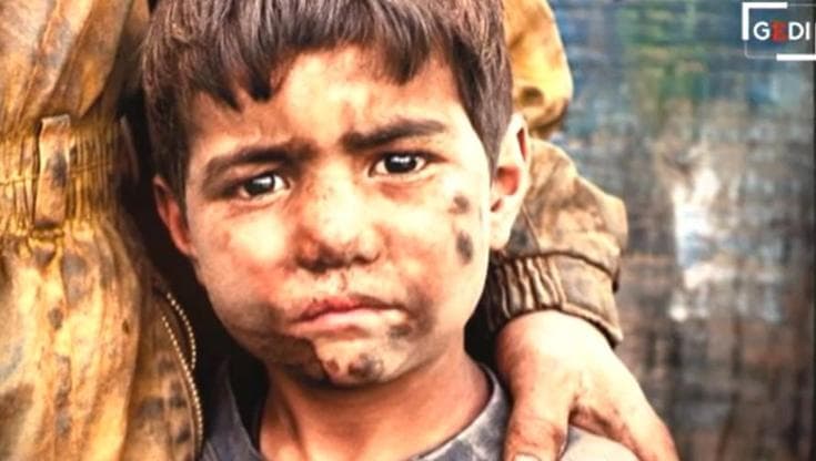 Steve McCurry a Trieste con i suoi 'Sguardi sul mondo': "In mostra tutta l'umanità che ho incontrato"