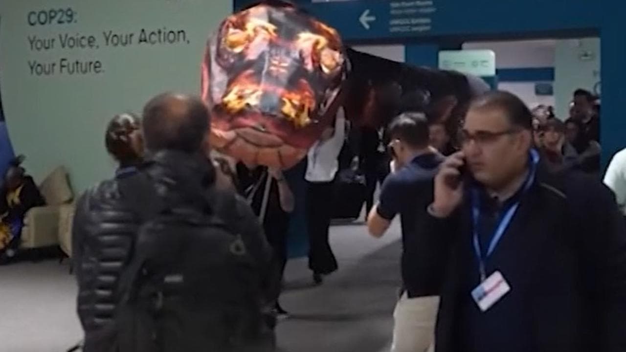 Clima, alla Cop29 di Baku un "serpente gigante": la protesta contro i paesi inquinanti