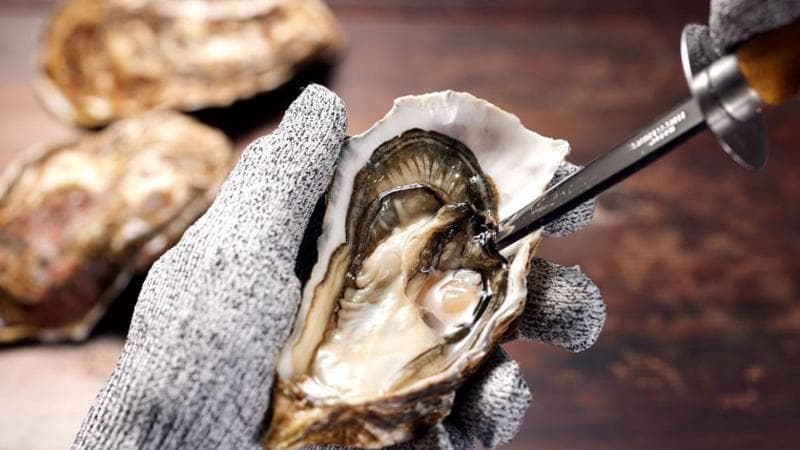 L’Iva sulle ostriche e il granchio blu, ecco il perché dell’emendamento alla manovra
