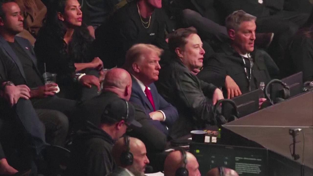 Trump e Musk festeggiano al Madison Square Garden al combattimento MMA
