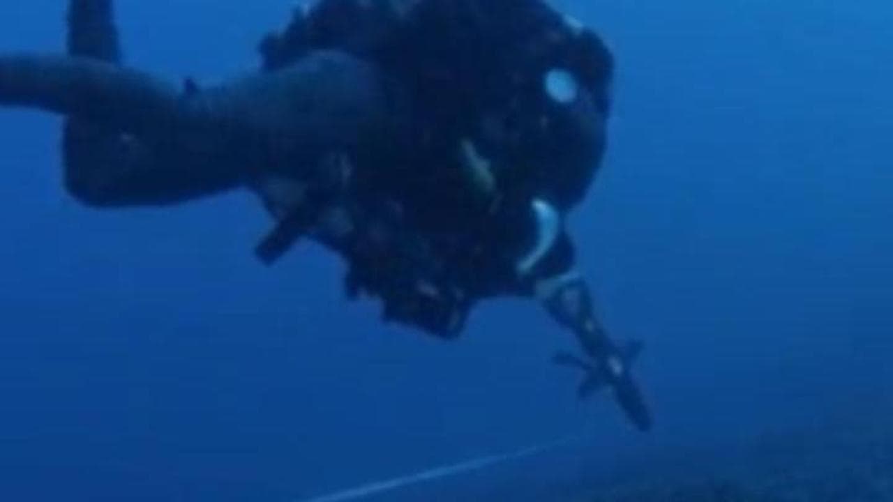 Scoperto nel Pacifico il corallo più grande del mondo: "È composto da un miliardo di minuscoli polipi"