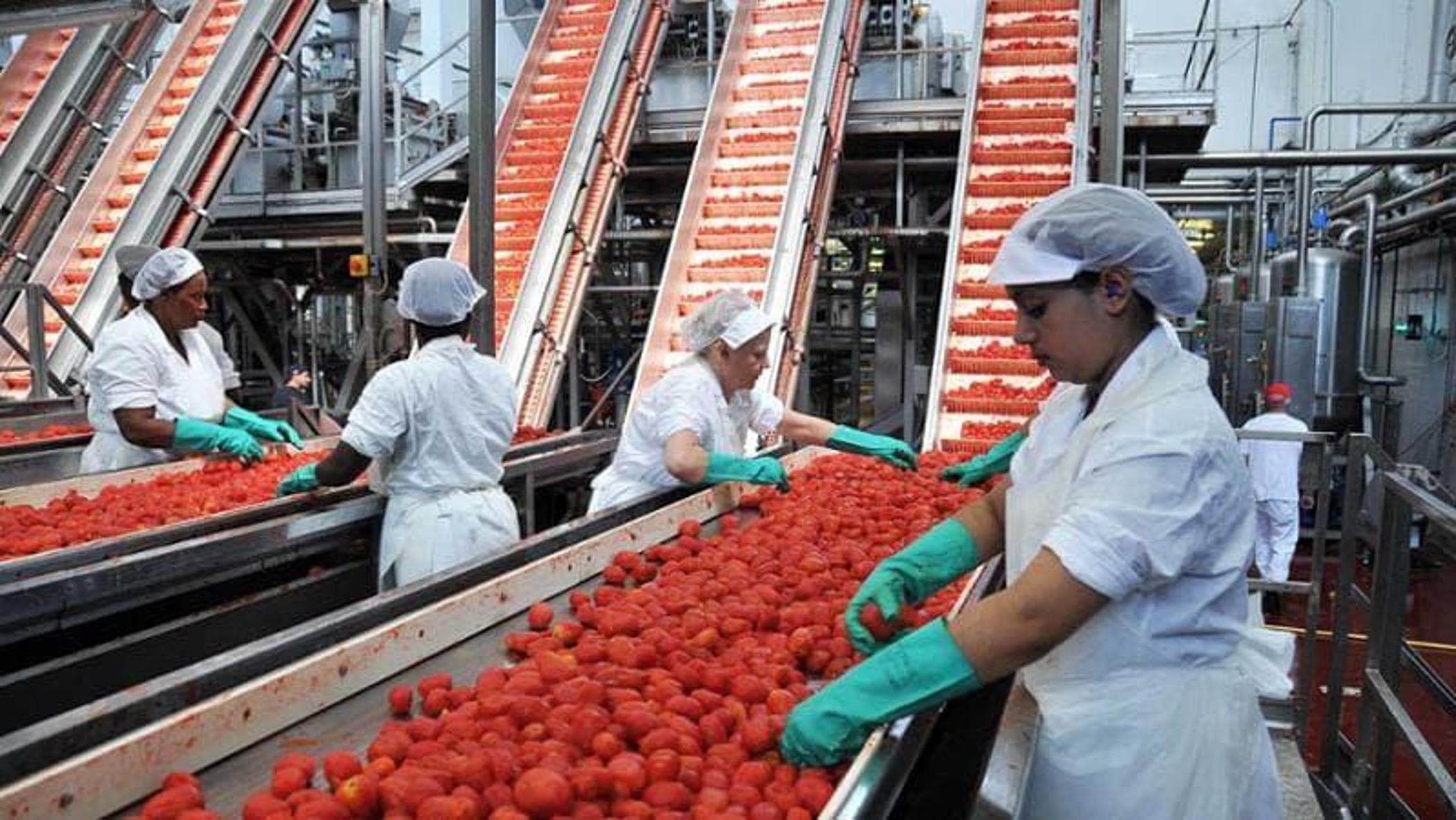 Tarım, üretim, gıda güvenliği, çevresel etki: işte FAO istatistik yıllığı