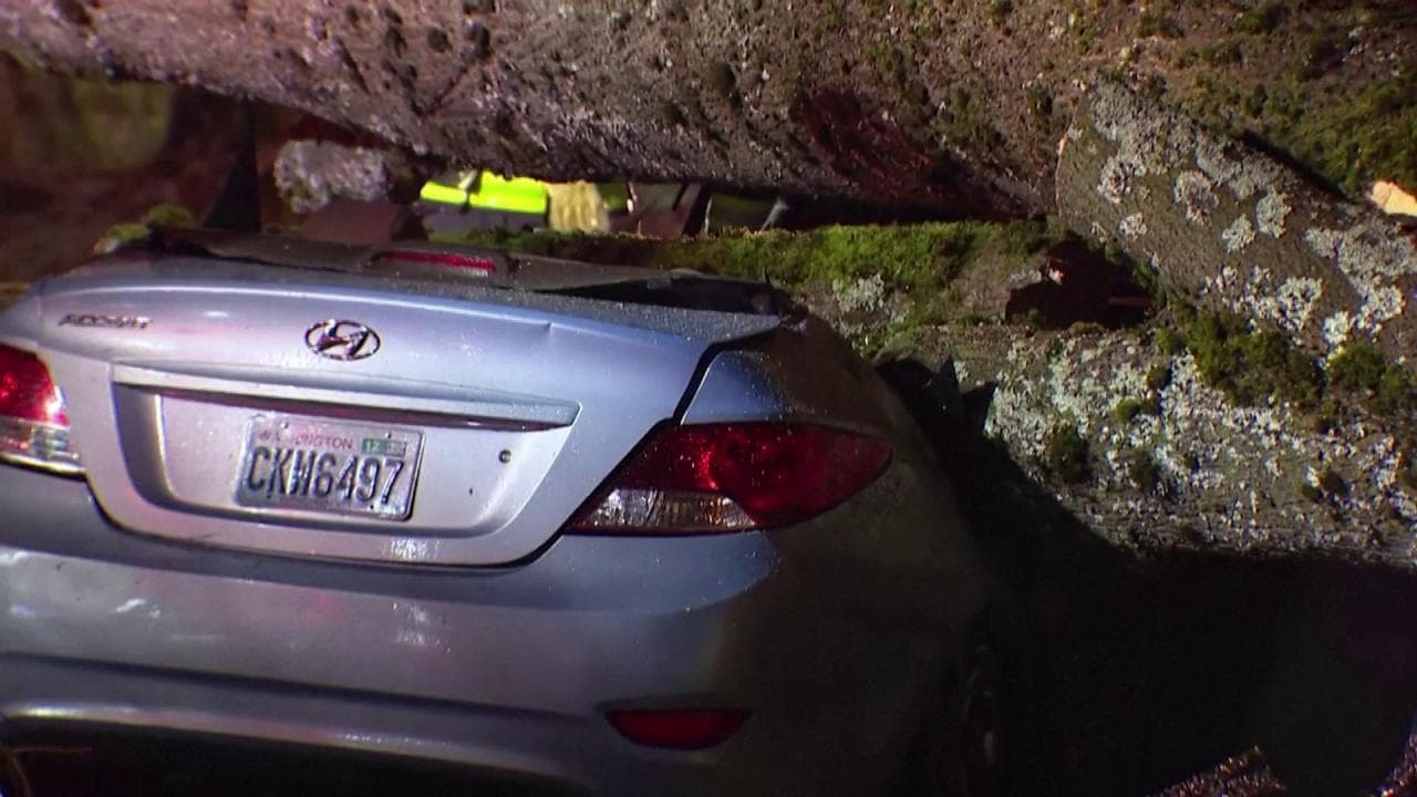 Usa, arriva il "ciclone bomba": vittime, auto distrutte e 600mila persone al buio nel Nord-Ovest