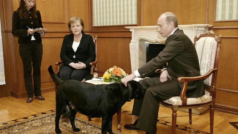 Merkel nel suo libro: “Quando Vladimir cercò di intimorirmi con il suo labrador”
