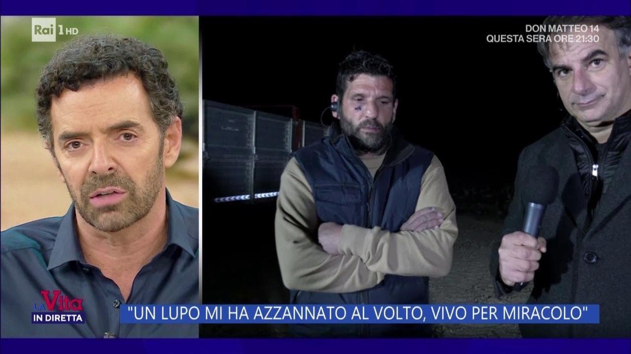 Gaffe di Matano a “La vita in diretta”: augura "in bocca al lupo" a un uomo azzannato dall’animale