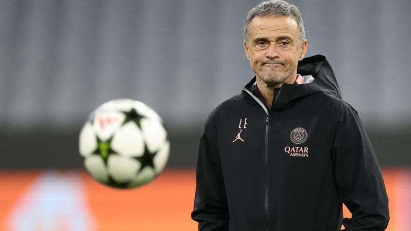 Luis Enrique, tecnico del Psg