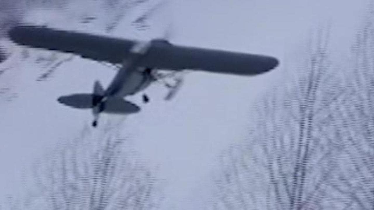 Alaska, la consegna "aerea" dei tacchini del Thanksgiving Day