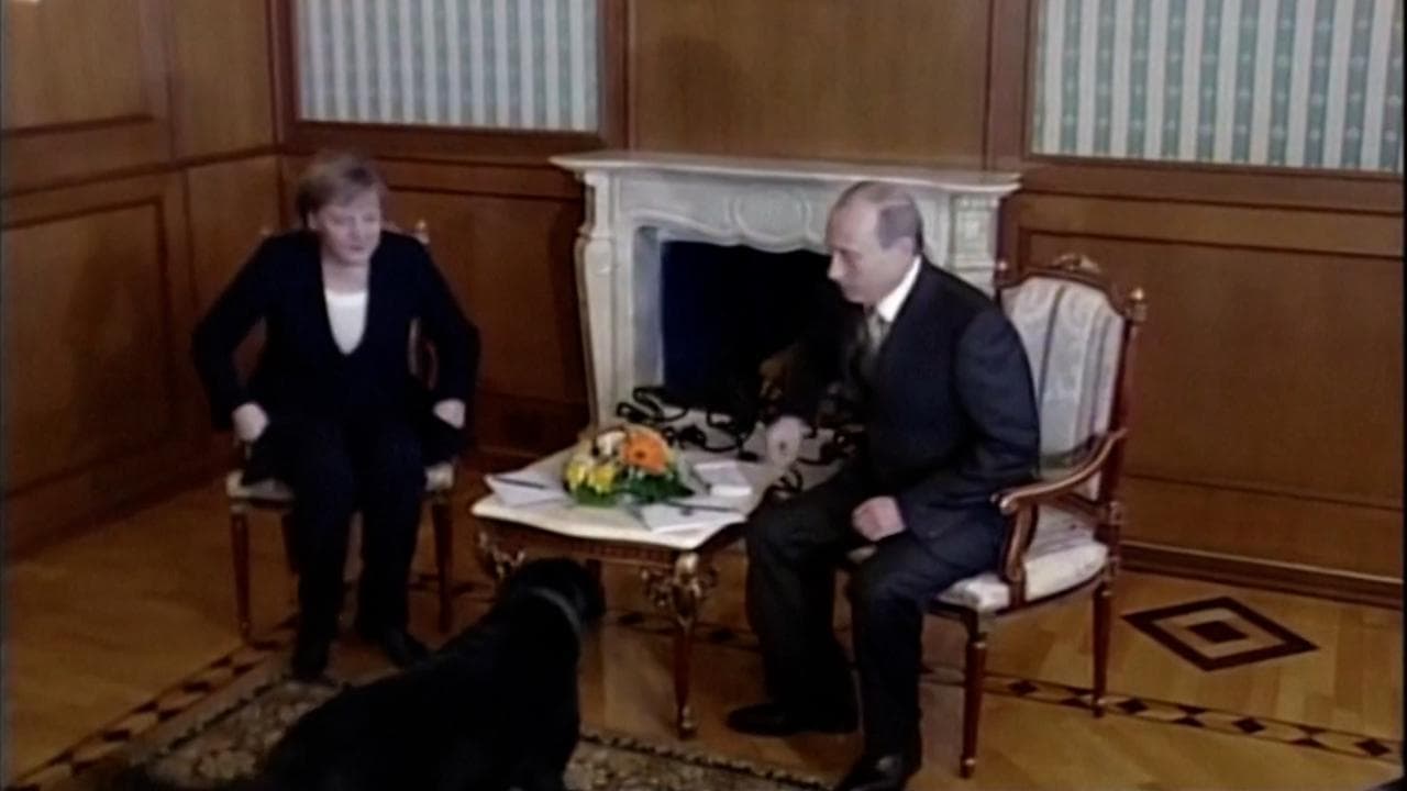 Putin chiede scusa ad Angela Merkel: "Non sapevo avesse paura dei cani". Lei nel suo libro lo accusa