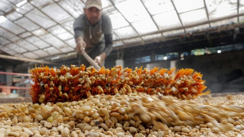 Caffè, prezzo record degli ultimi cinquant’anni. “Verso i due euro a tazzina”