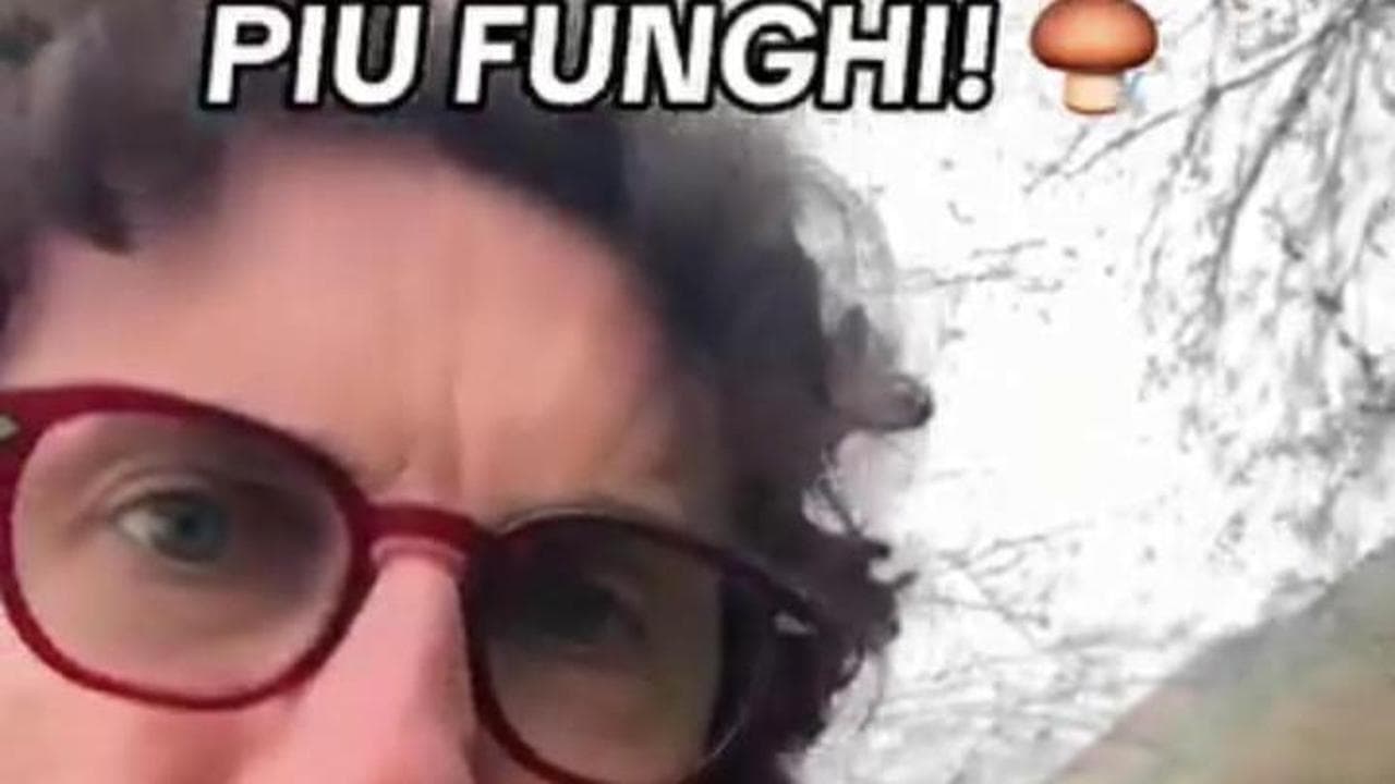 Toninelli va per funghi: "Non so se riuscirò ad arrivare in tempo per la votazione di Conte"