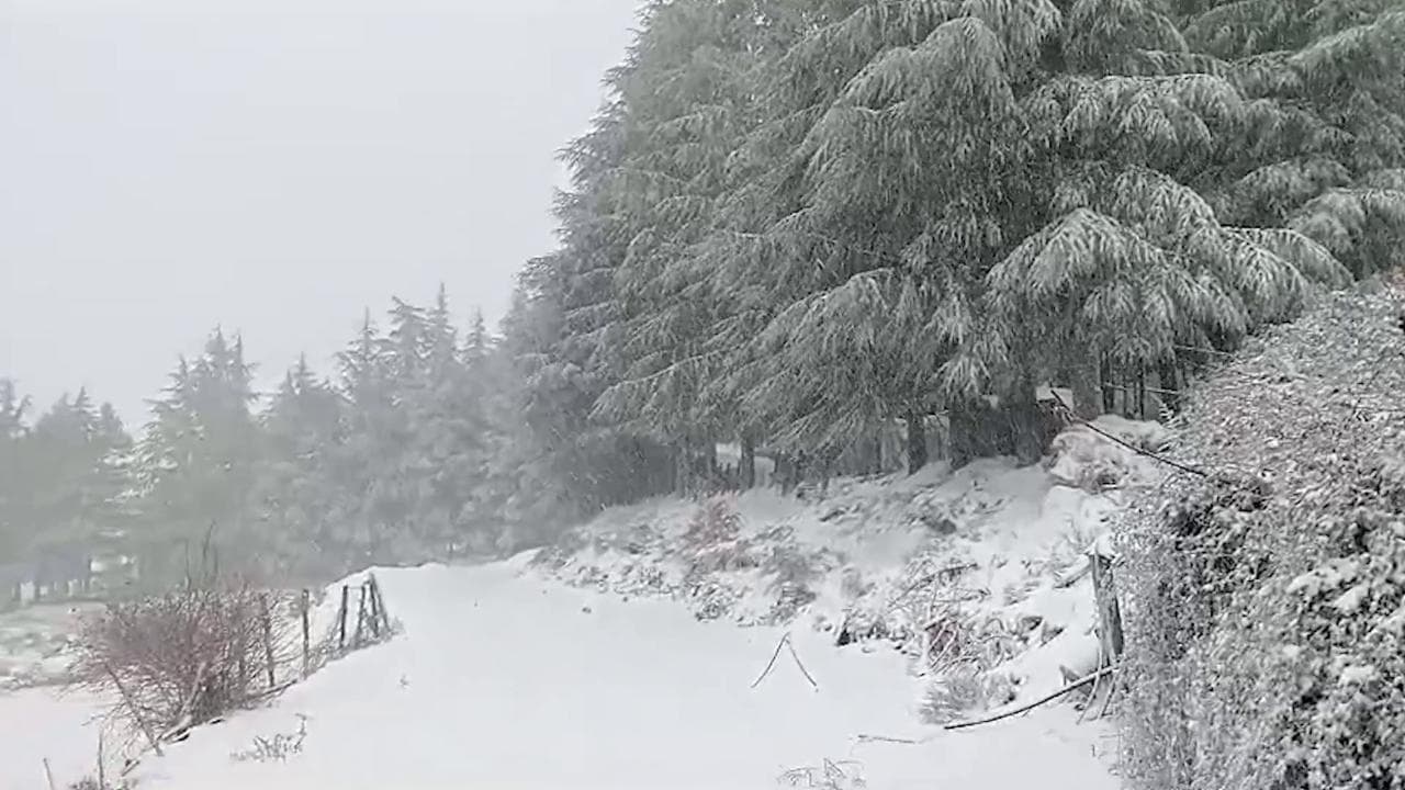 Sardegna, prima neve sui monti del Gennargentu: caduti 10 cm a 1500 metri