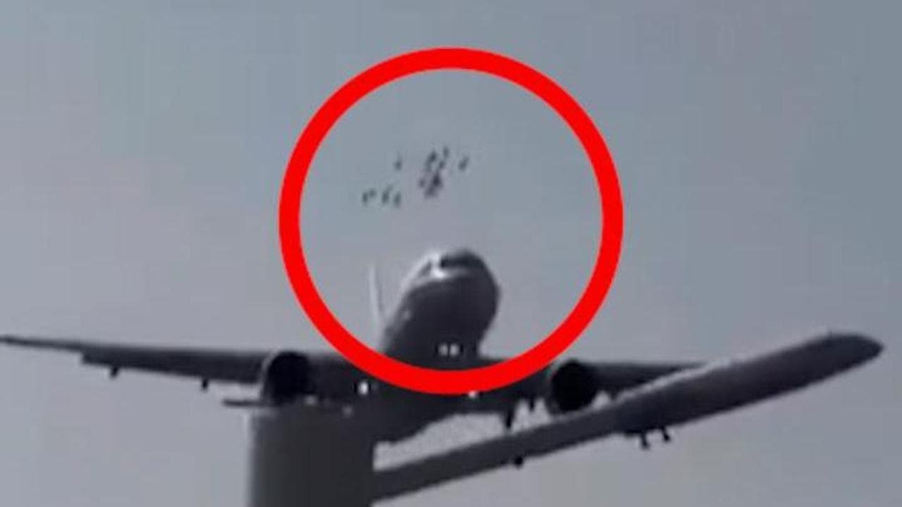 Cina, uno stormo di uccelli si scontra con un aereo in fase di atterraggio