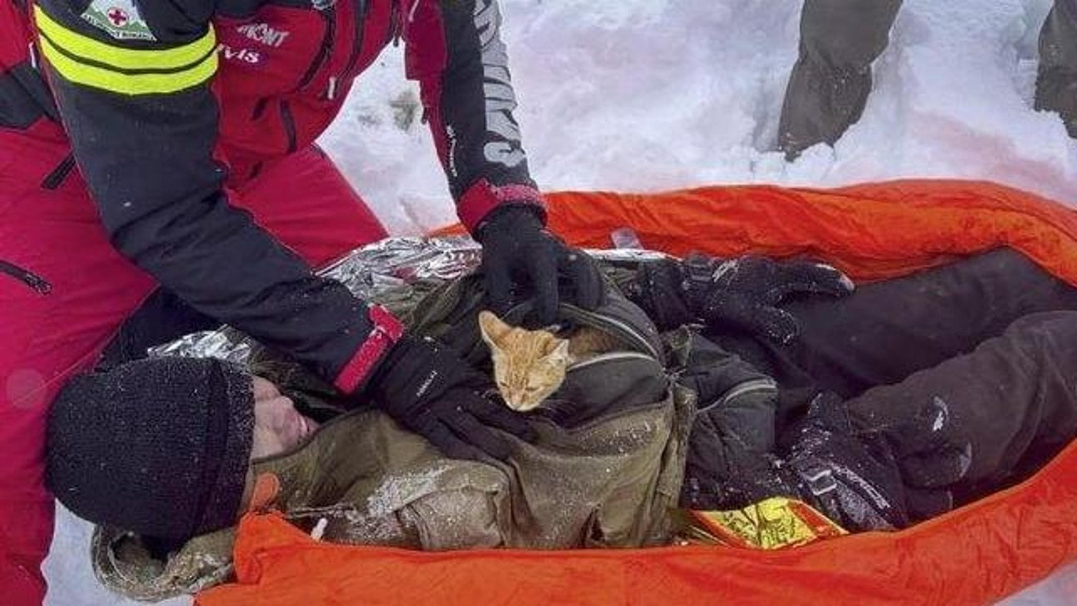 戦争で荒廃したウクライナから逃れてきたジャーナリスト、飼い猫のおかげで低体温症から救われる