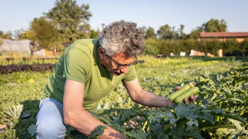 Progetto PAS - Cascina la Forestina. Niccolo Revardini, proprietario della cascina la forestina nell'orto biologico&nbsp;
