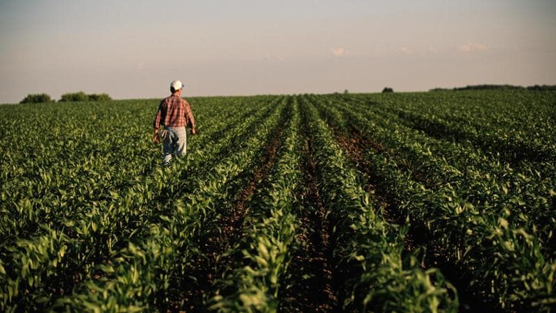 Un’agricoltura sempre più verde