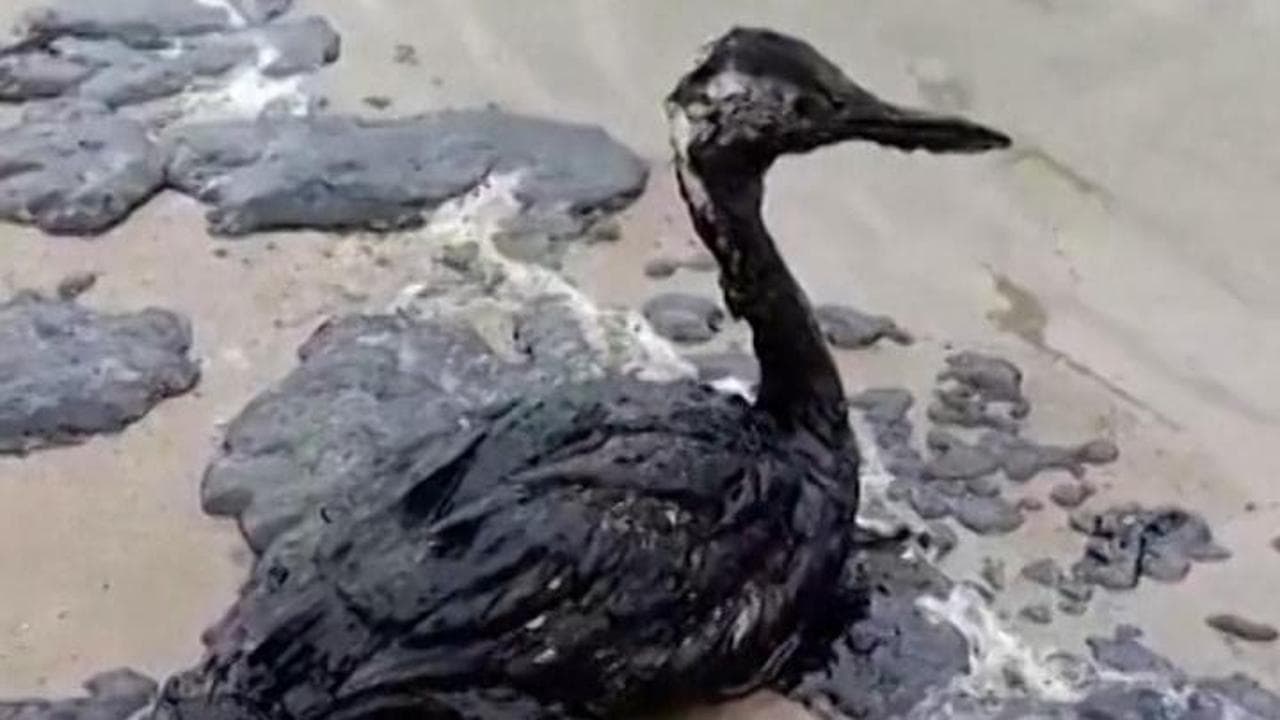Russia: allarme ambientale per il petrolio della nave tranciata in due dalla tempesta sul Mar Nero