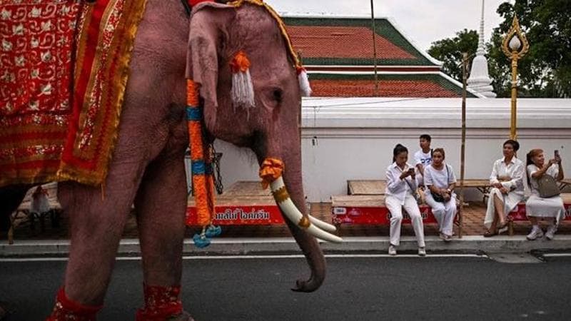 MANAN VATSYAYANA / AFP
