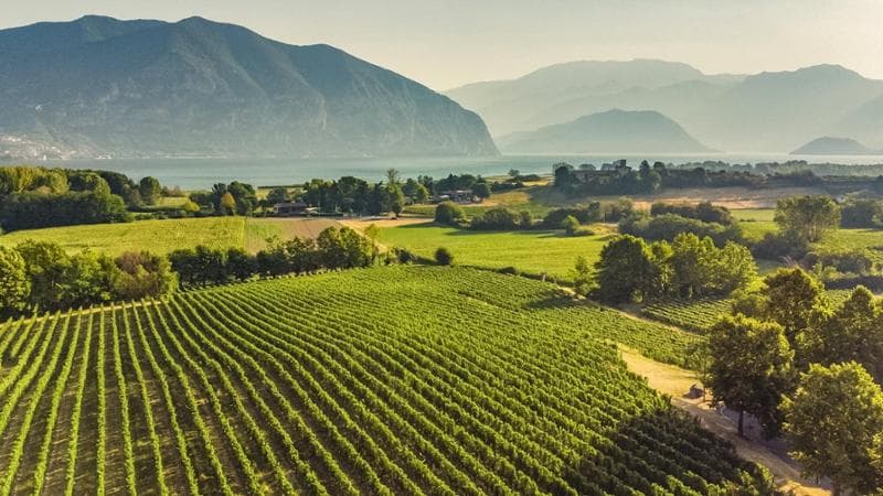 Uno scorcio di Franciacorta