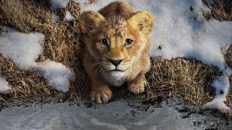 Barry Jenkins: “Il mio Mufasa è sovversivo, gli animali ci insegnano l’equilibrio con la natura”