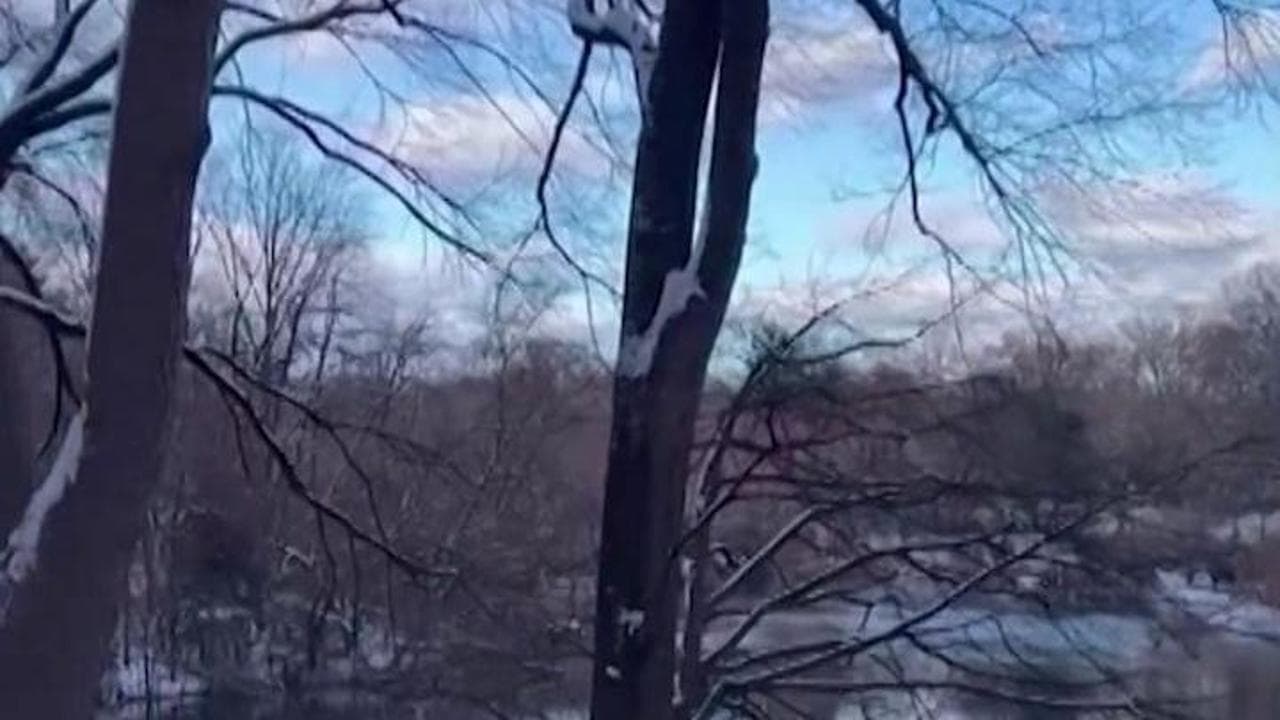 La neve incanta New York: un manto bianco risveglia la magia dell'inverno
