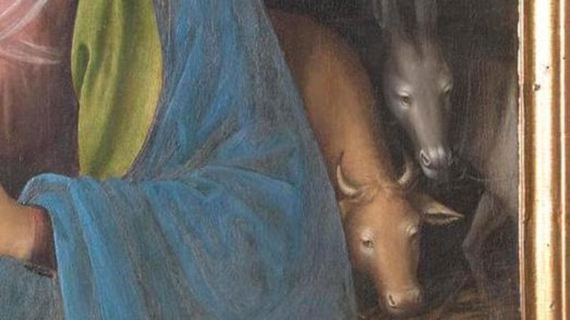 Il bue e l'asino.nel Polittico di&nbsp;Gaudenzio Ferrari,&nbsp;1511, Collegiata di Santa Maria,&nbsp;Arona
