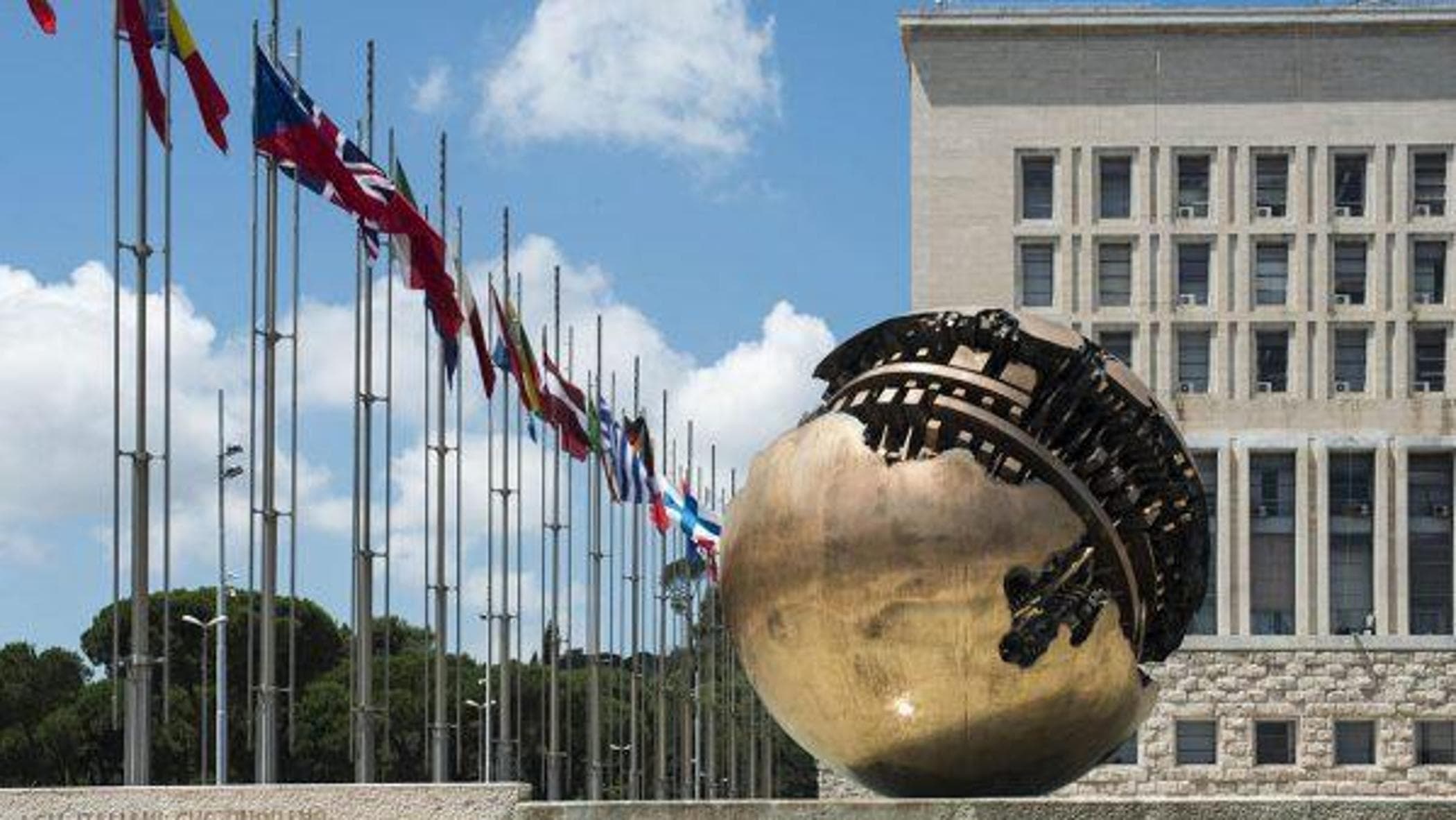 İnsani yardım, acil girişimler için Farnesina'dan 115 milyon: yalnızca Afrika'da 66 milyon