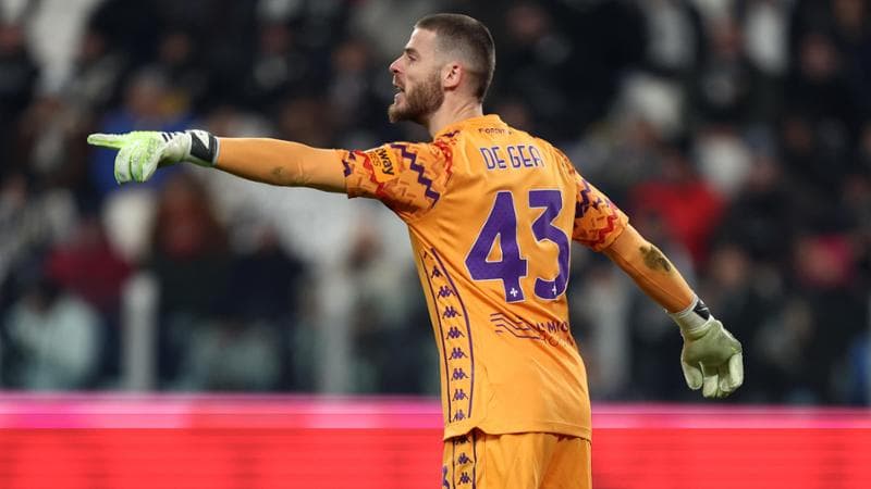 David De Gea, portiere della Fiorentina