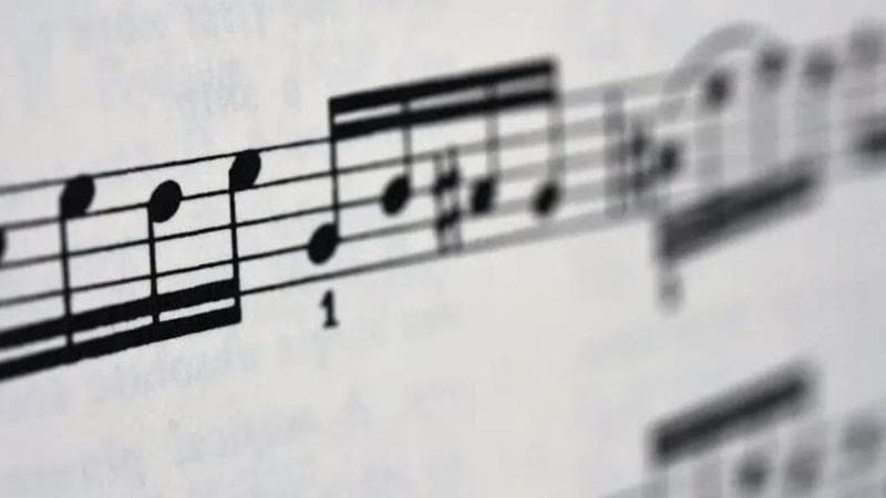 Dieci motivi (musicali) per ricordare il 2024