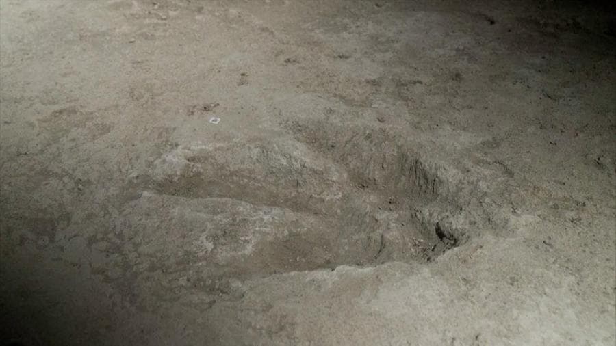 Una "via giurassica” riaffiora in Inghilterra: scoperte centinaia di impronte di dinosauri