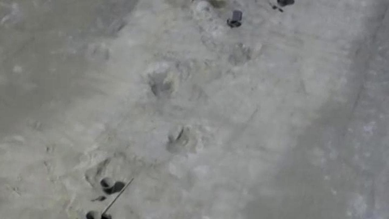 Una "via giurassica” riaffiora in Inghilterra: scoperte centinaia di impronte di dinosauri