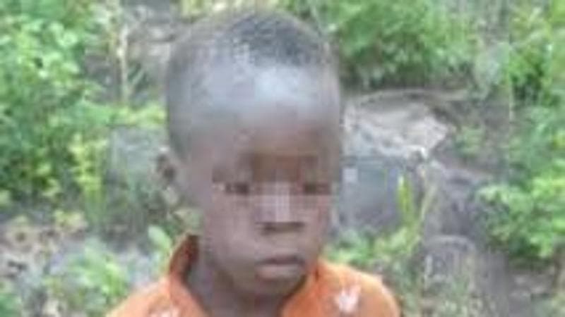 Zimbawe, la favola (reale) di Tinotenda: piccolo Mowgli africano sopravvissuto 5 giorni tra i leoni