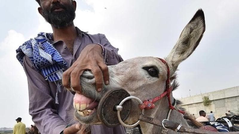EPA/SHAHZAIB AKBER