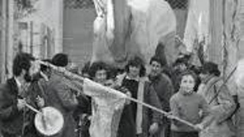 I pazienti psichiatrici, grazie alla legge Basaglia, escono dal manicomio di Trieste con la statua di&nbsp;Marco&nbsp;Cavallo