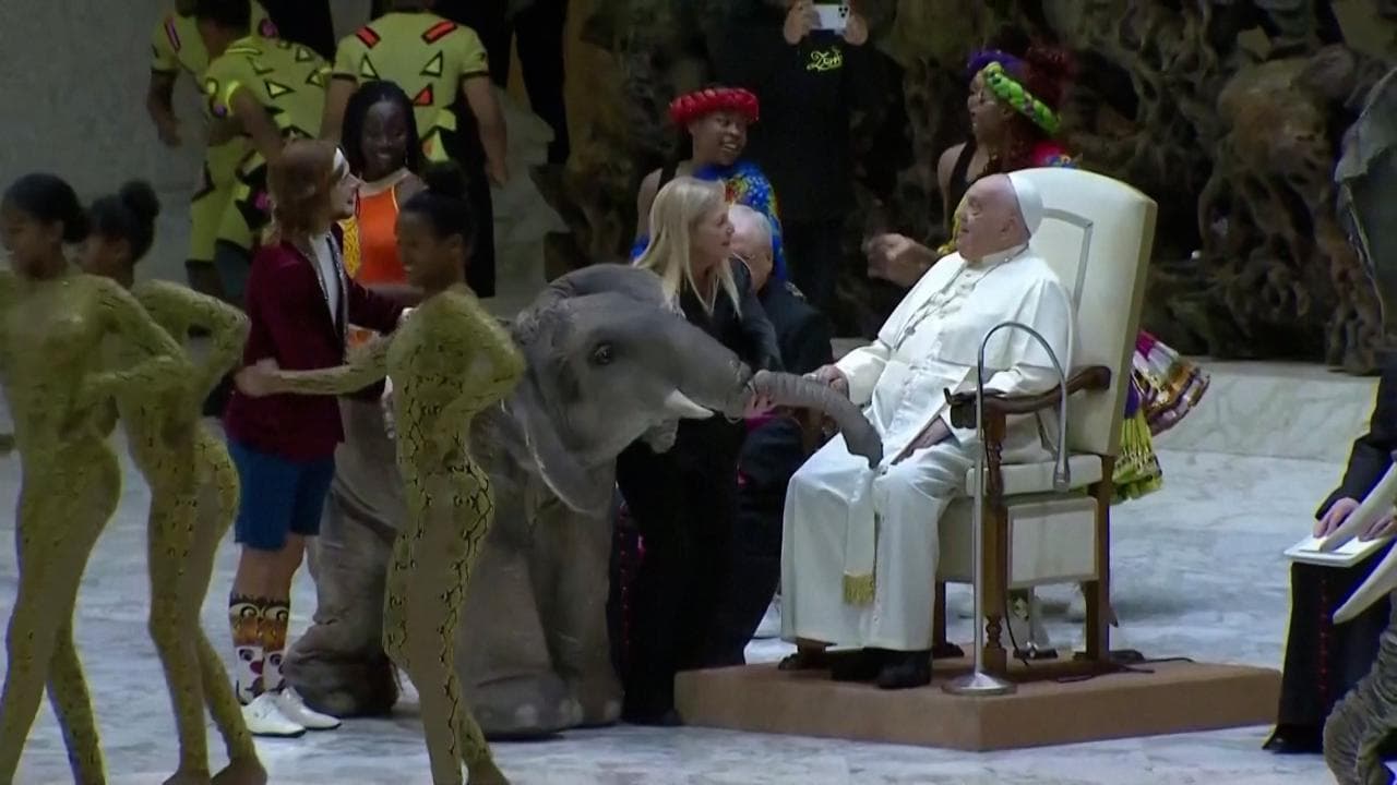 Il Papa assiste all’esibizione degli artisti del CircAfrica: "Il circo ci fa ridere come bambini"