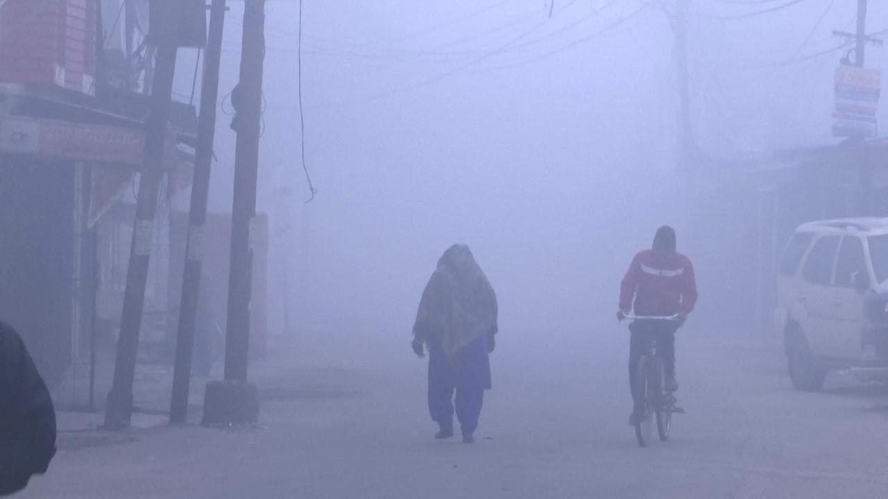 India, freddo e smog a Nuova Delhi: la capitale avvolta dalla nebbia