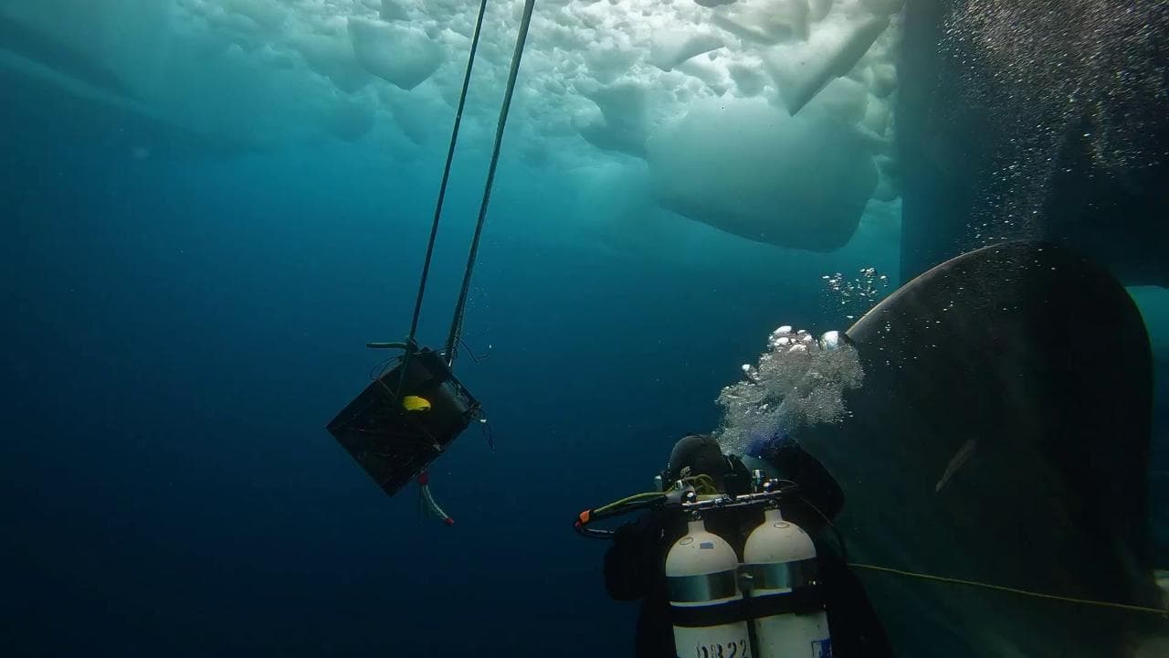 Due sub riparano la nave rompighiaccio nelle gelide acque dell'Antartide: il video dell'operazione