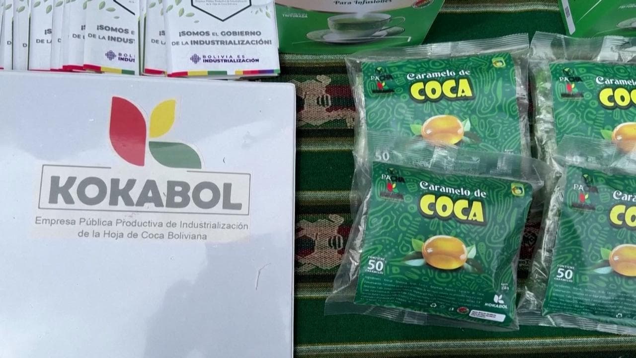 Giornata della masticazione della coca, festa in Bolivia. "Pianta sacra e millenaria, non è cocaina"