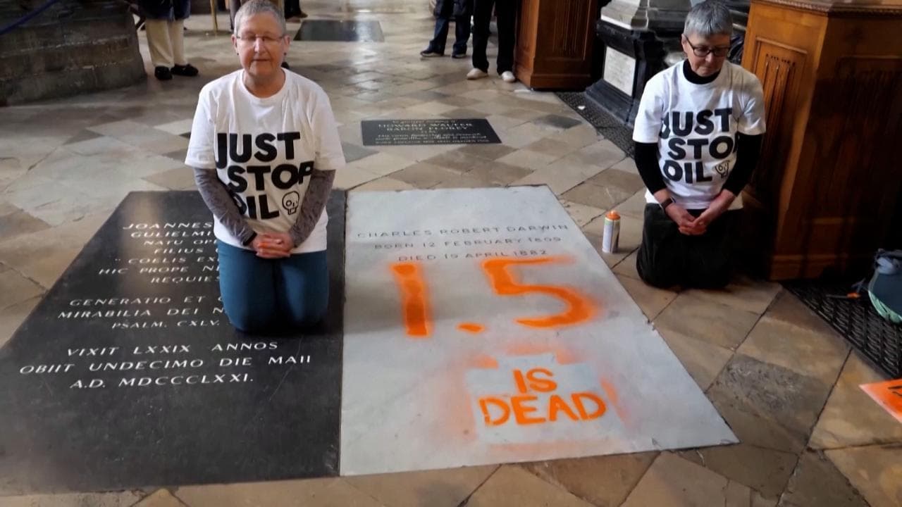 "1.5 is dead", la scritta degli ambientalisti sulla tomba di Darwin nell'Abbazia di Westminster