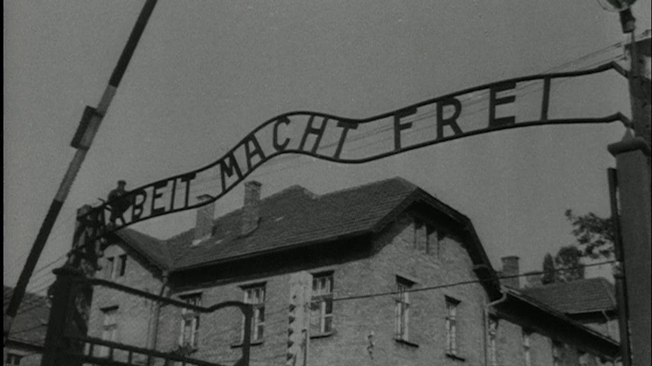 Longform Loop Auschwitz