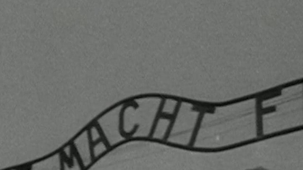 Loop verticale longformm Auschwitz per i social