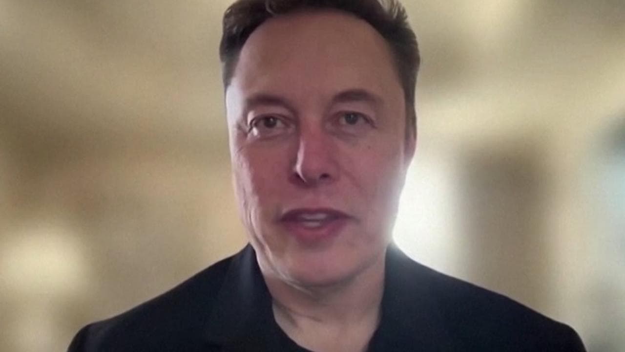 Elon Musk in video collegamento al congresso Afd: "Siete la migliore speranza per la Germania"