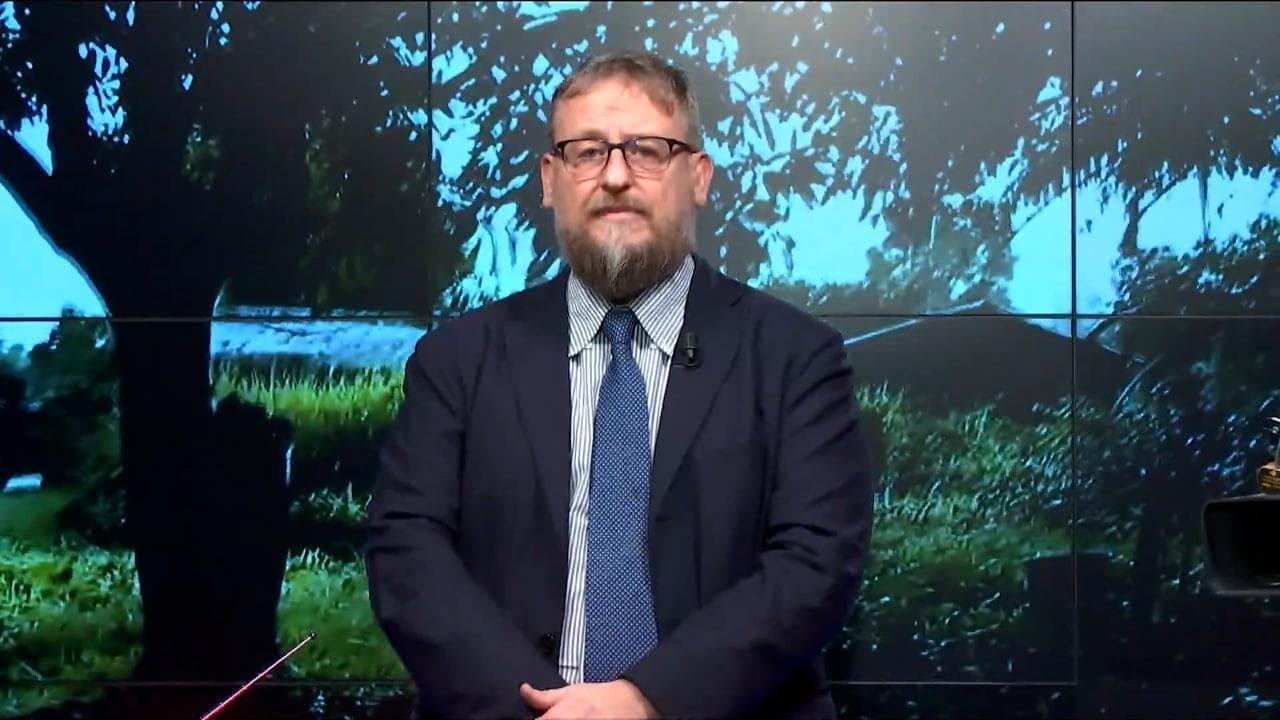 Invocata come forza di pace a Gaza e garanzia in Ucraina: che fine ha fatto la Difesa europea?