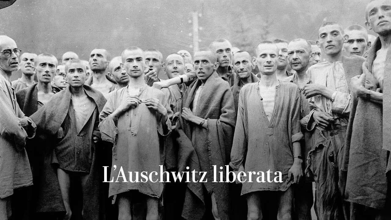 <a href="https://puntoitalia.online/cultura/2025/01/26/news/auschwitz_80_anni_liberazione_27_gennaio_1945-423959725/">L&rsquo;Auschwitz liberata</a>