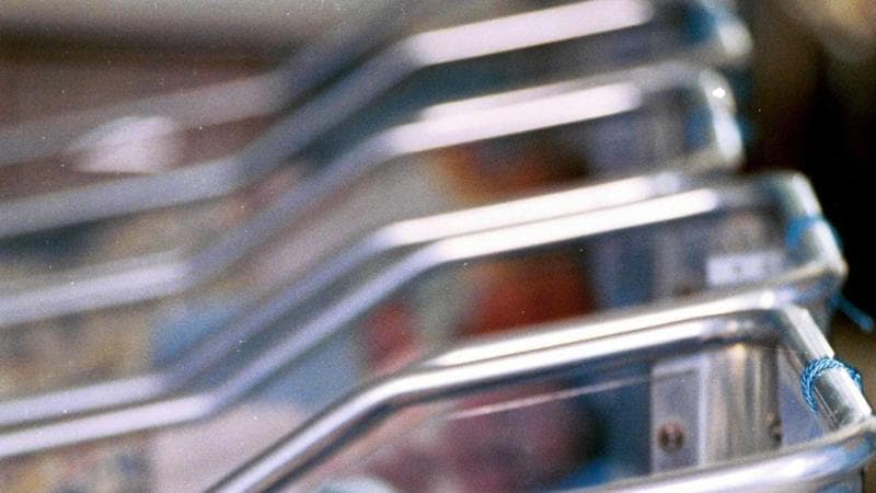 Usa, la setta The Truth costringeva le seguaci a dare i propri figli in adozione. Abusi e violenze