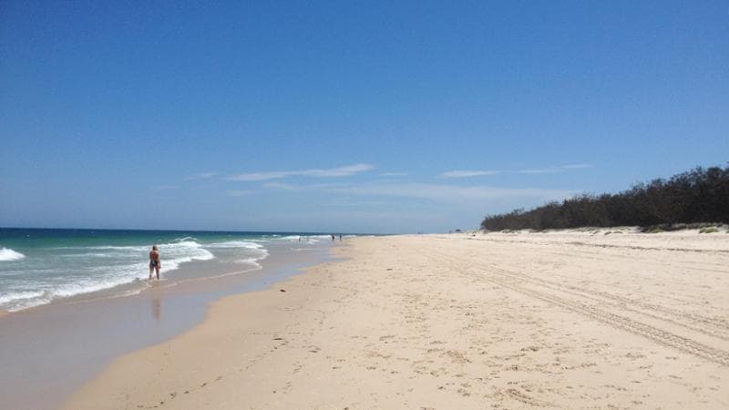 Australia, muore una 17enne attaccata da uno squalo a cento metri dalla riva
